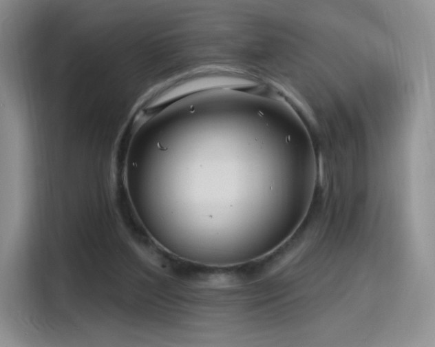 X0000115810204200911201425