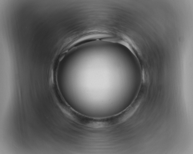 X0000115810205200911201425