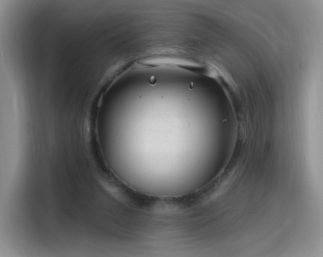 X0000115810207200911201425