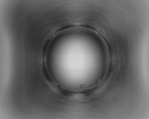 X0000115810210200911201425