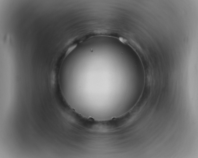 X0000115810211200911201425