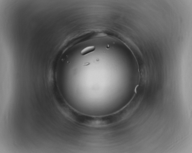 X0000115810212200911201425