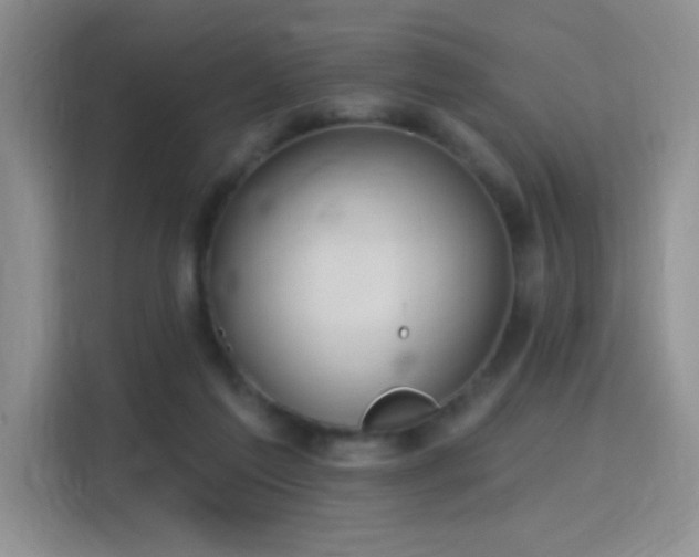 X0000115810213200911201425