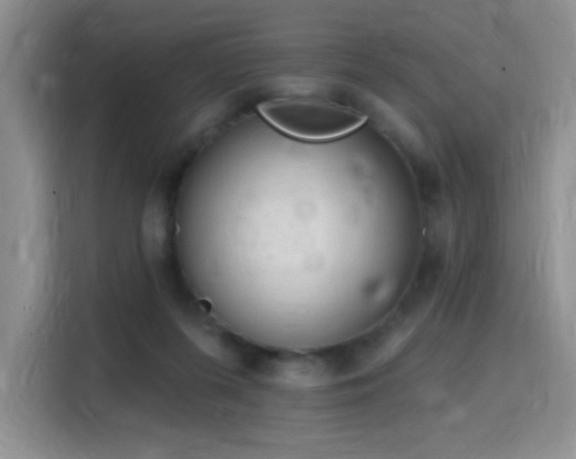 X0000115810215200911201425