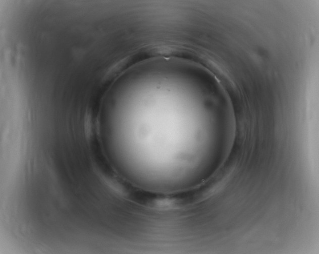 X0000115810216200911201425