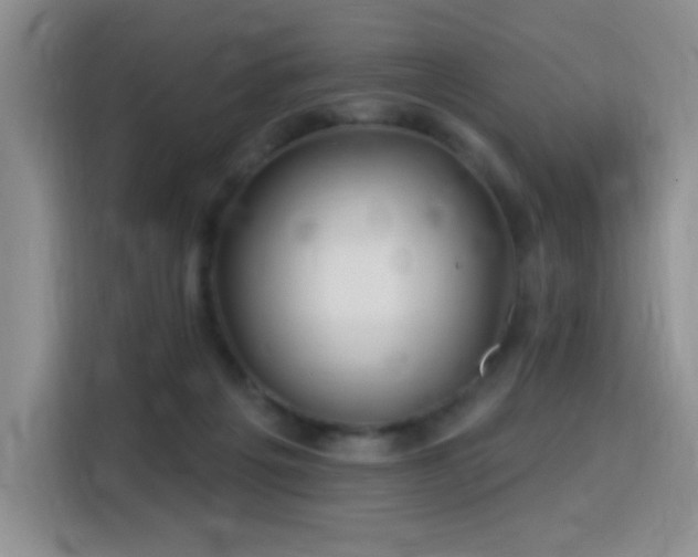 X0000115810217200911201425