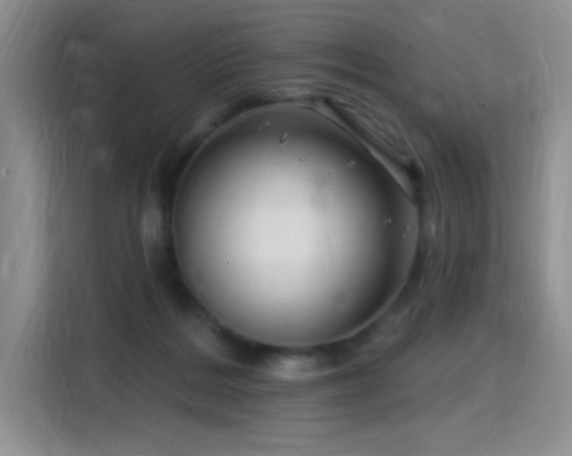 X0000115810220200911201425