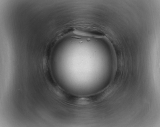 X0000115810222200911201425