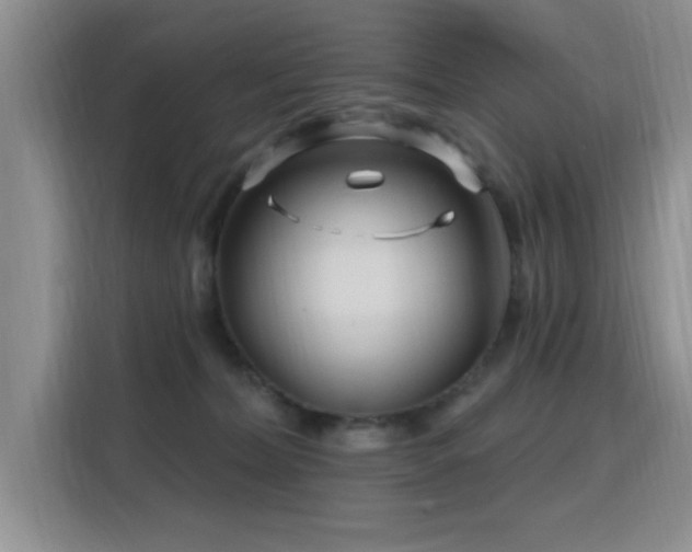 X0000115810228200911201425