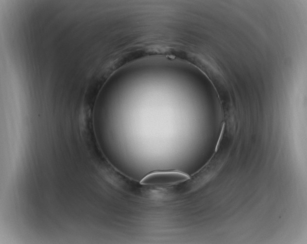 X0000115810229200911201425