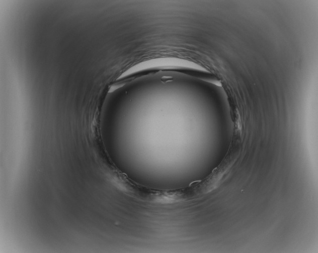 X0000115810235200911201425