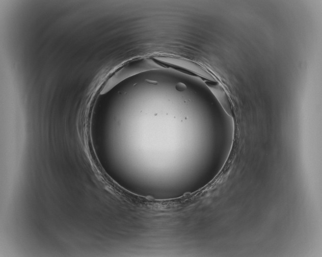 X0000115810241200911201424