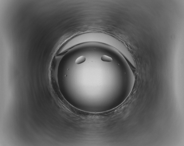 X0000115810242200911201424