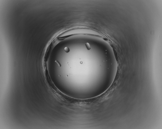 X0000115810244200911201424