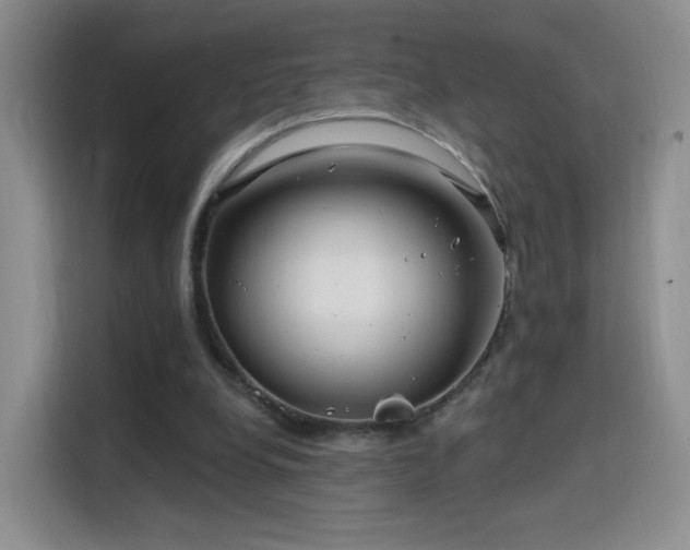 X0000115810248200911201424