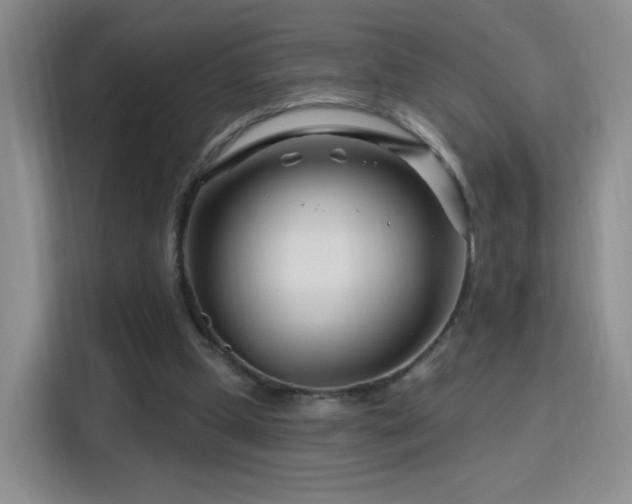 X0000115810249200911201424