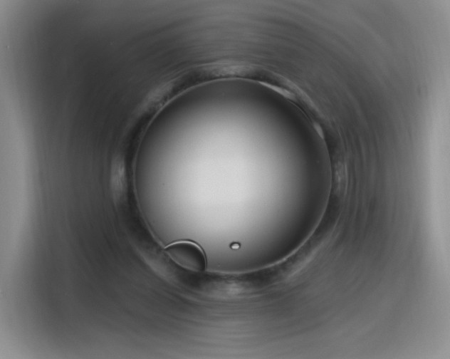 X0000115810254200911201424