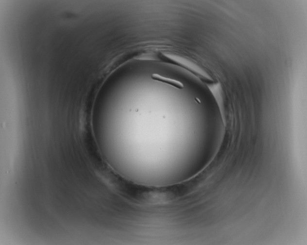X0000115810255200911201424