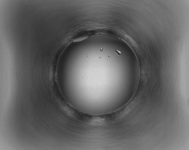 X0000115810257200911201424