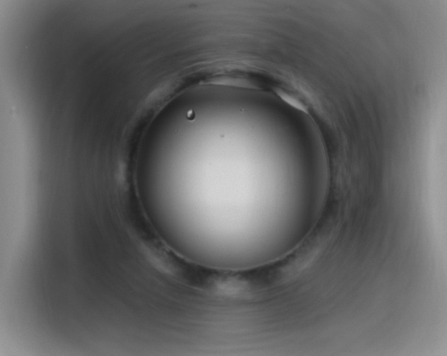 X0000115810258200911201424