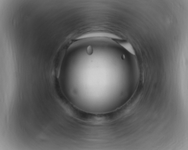 X0000115810260200911201424
