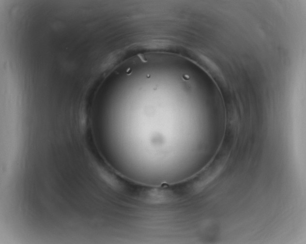 X0000115810261200911201424