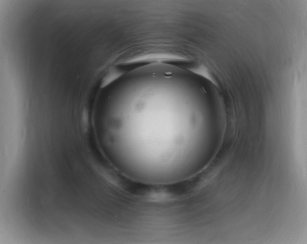 X0000115810262200911201424