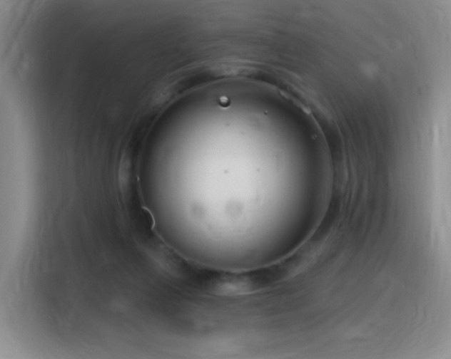 X0000115810263200911201424