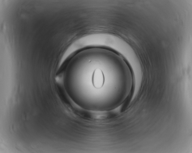 X0000115810264200911201425