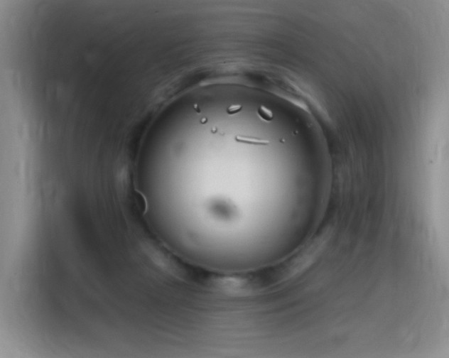 X0000115810265200911201425