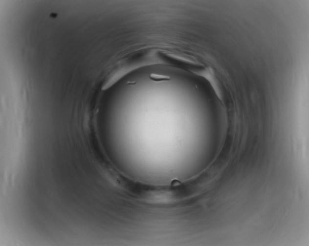 X0000115810266200911201425