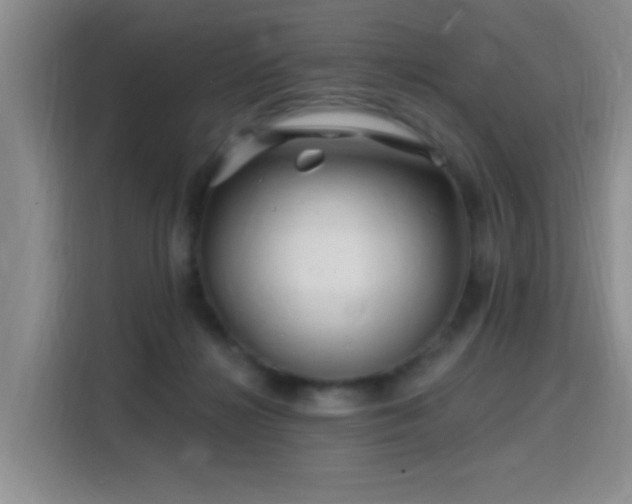 X0000115810268200911201425