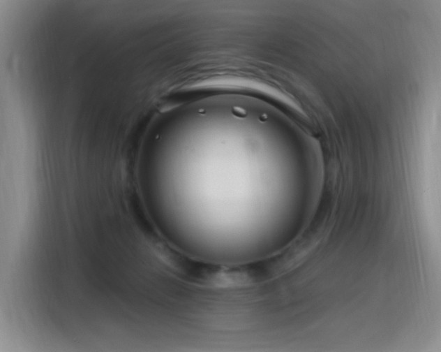 X0000115810270200911201425