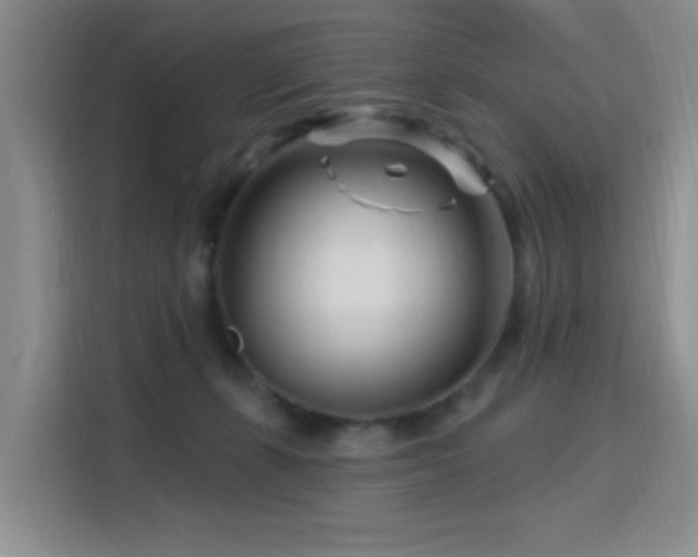 X0000115810271200911201425