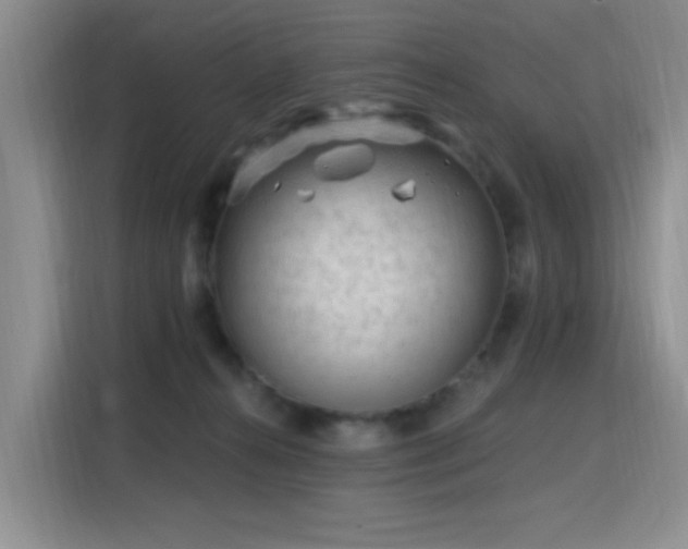 X0000115810272200911201425