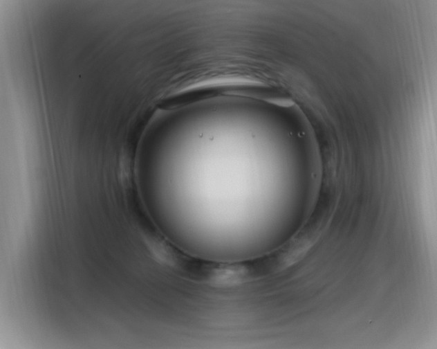 X0000115810274200911201425