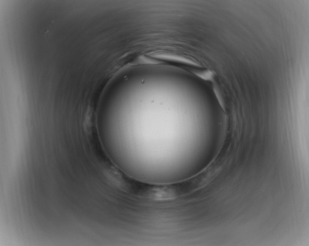 X0000115810275200911201425