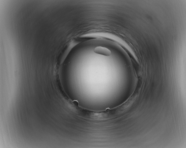 X0000115810277200911201425