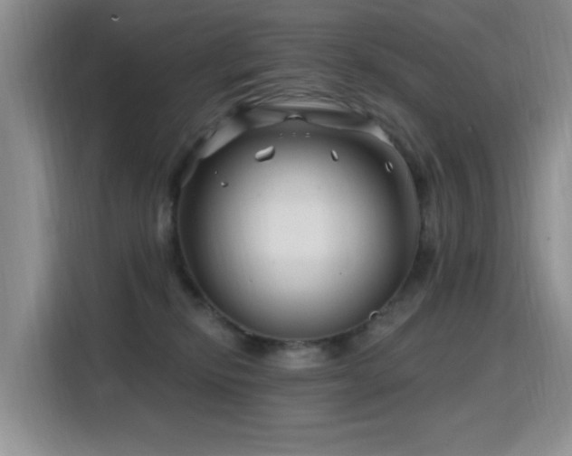 X0000115810278200911201425