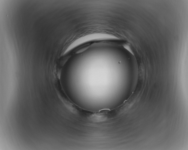 X0000115810280200911201425