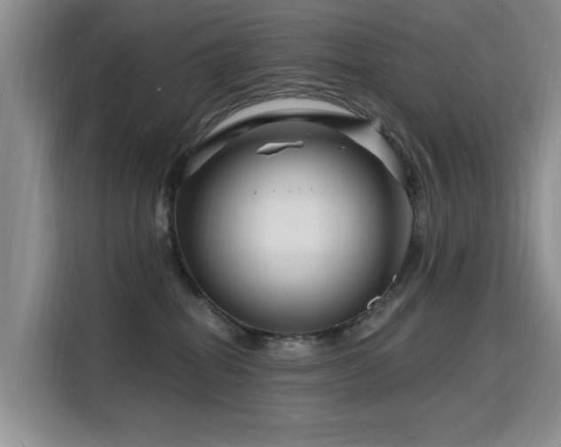 X0000115810282200911201425