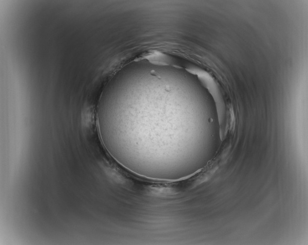 X0000115810284200911201425