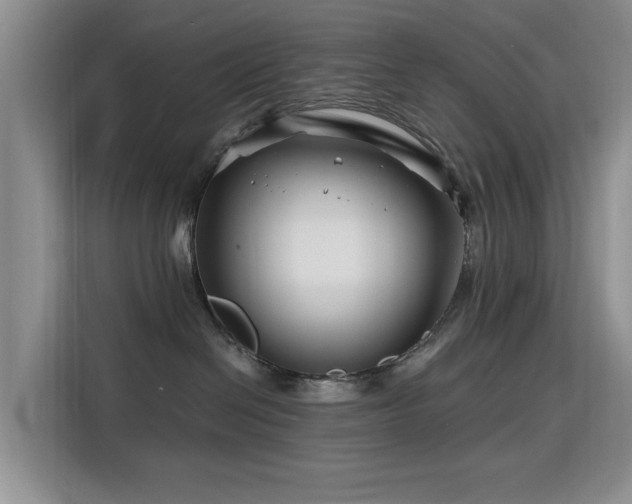 X0000115810286200911201425