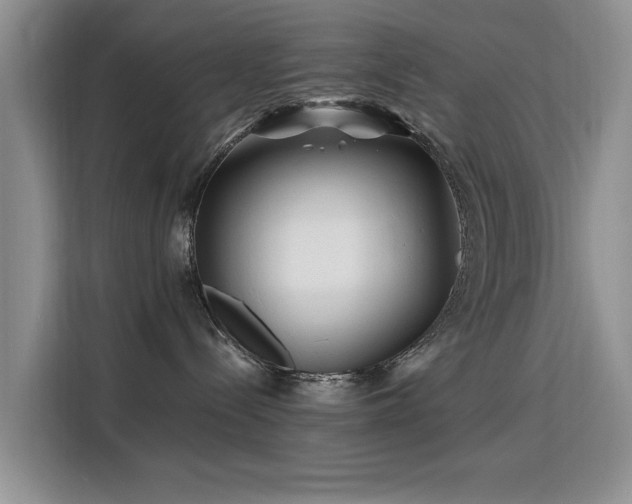 X0000115810288200911201425