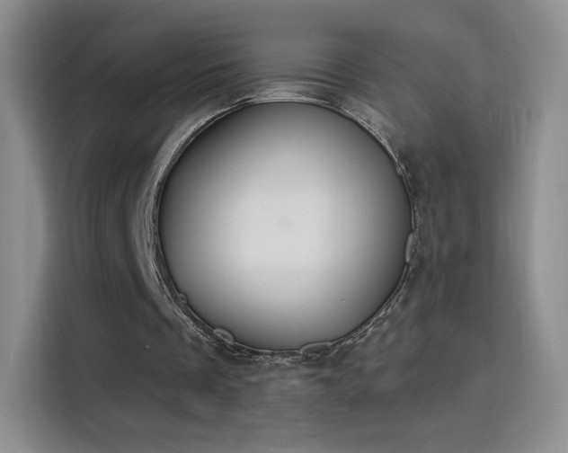 X0000115810289200911201424