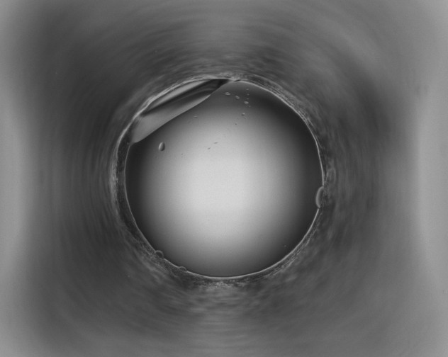 X0000115810290200911201424