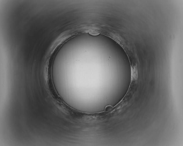 X0000115810291200911201424