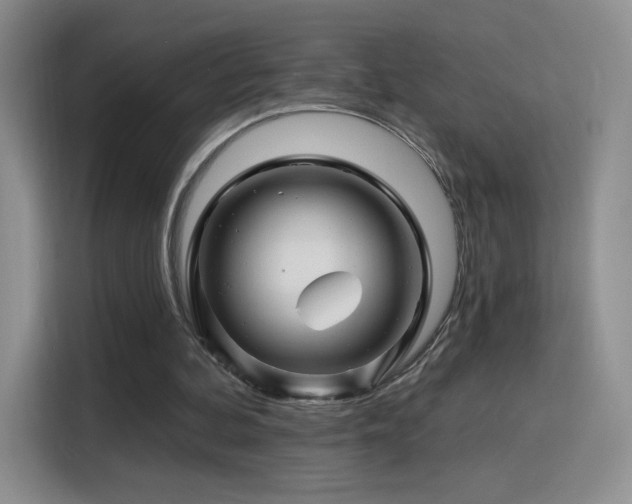 X0000115810292200911201424