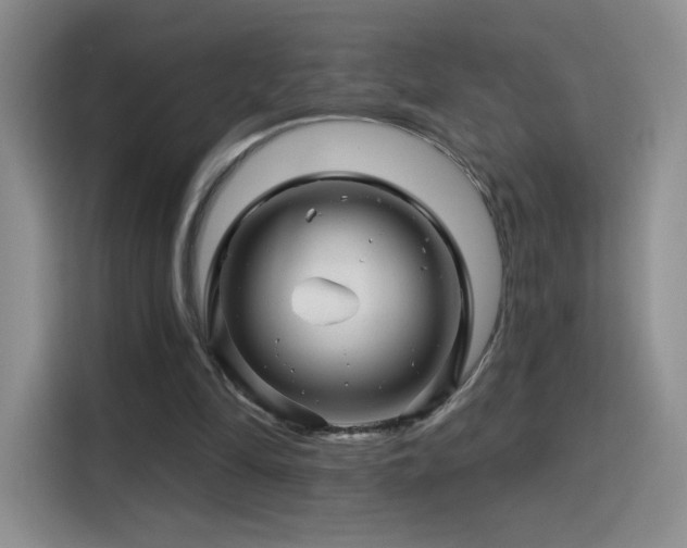 X0000115810294200911201424