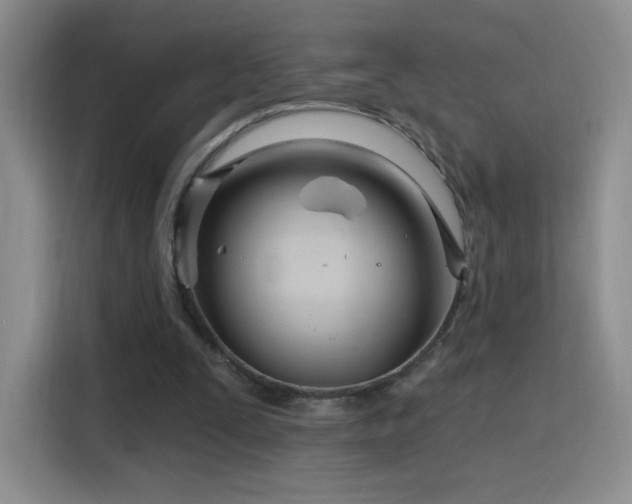 X0000115810295200911201424